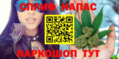 прущие грибы Нягань