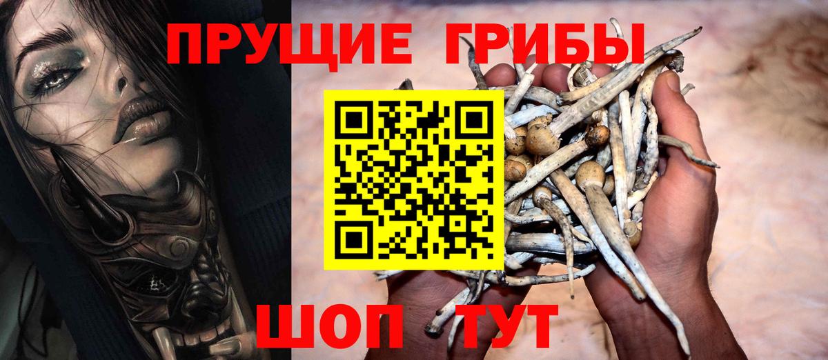 Дюртюли  Галлюциногенные грибы ЛСД  Вход с VPN 